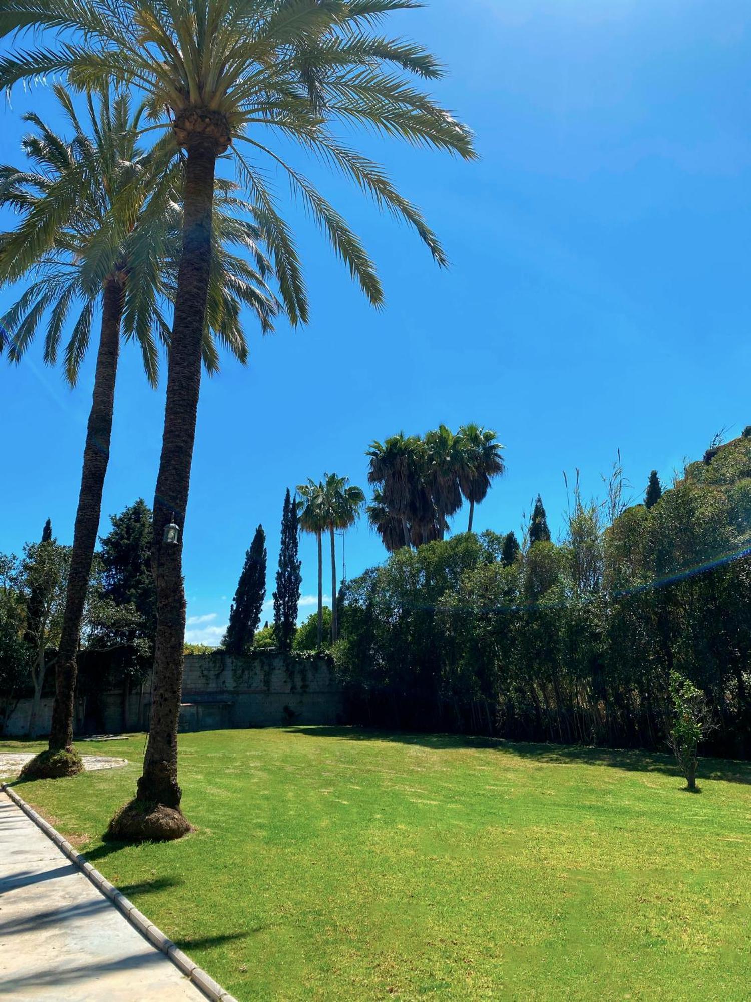Appartement Cortijo La Saleta Banus à Marbellac Extérieur photo